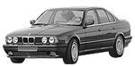 BMW E34 C100A Fault Code